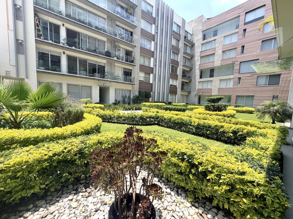 Departamento En Renta En Nápoles Con Balcón Y Amenidades