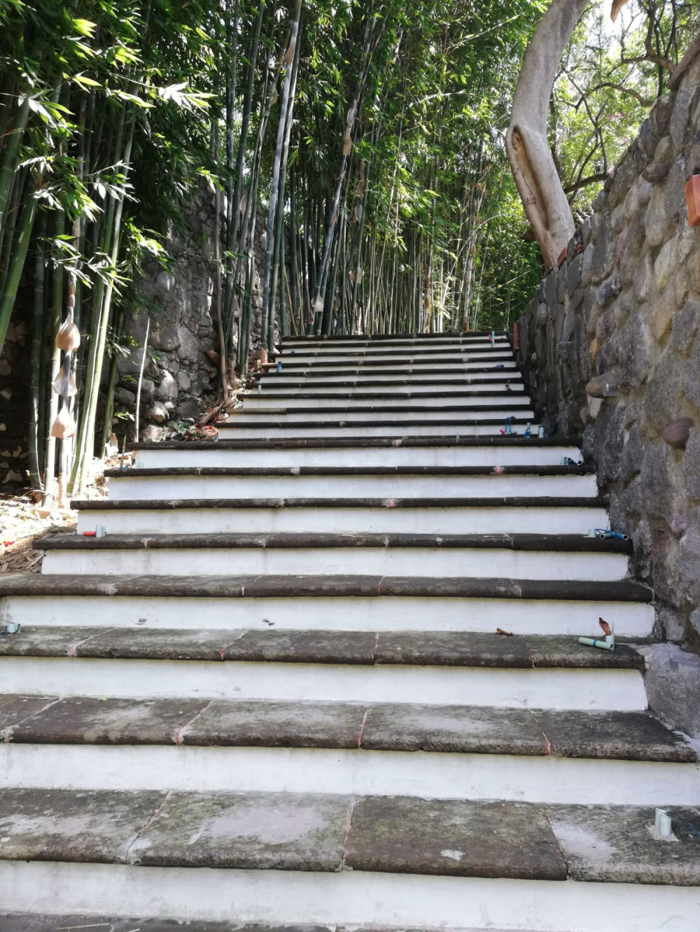 Departamento En Venta En Acapatzingo