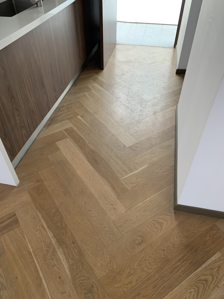 departamento en renta en roma norte