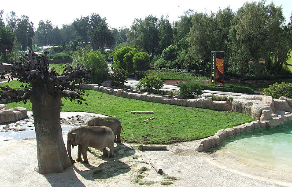 departamento en renta en la pradera