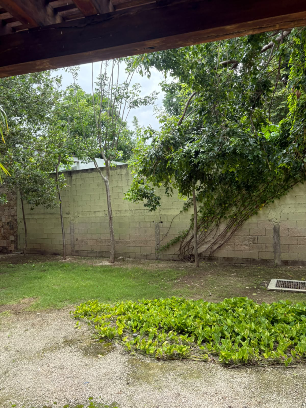 departamento en renta en chablekal