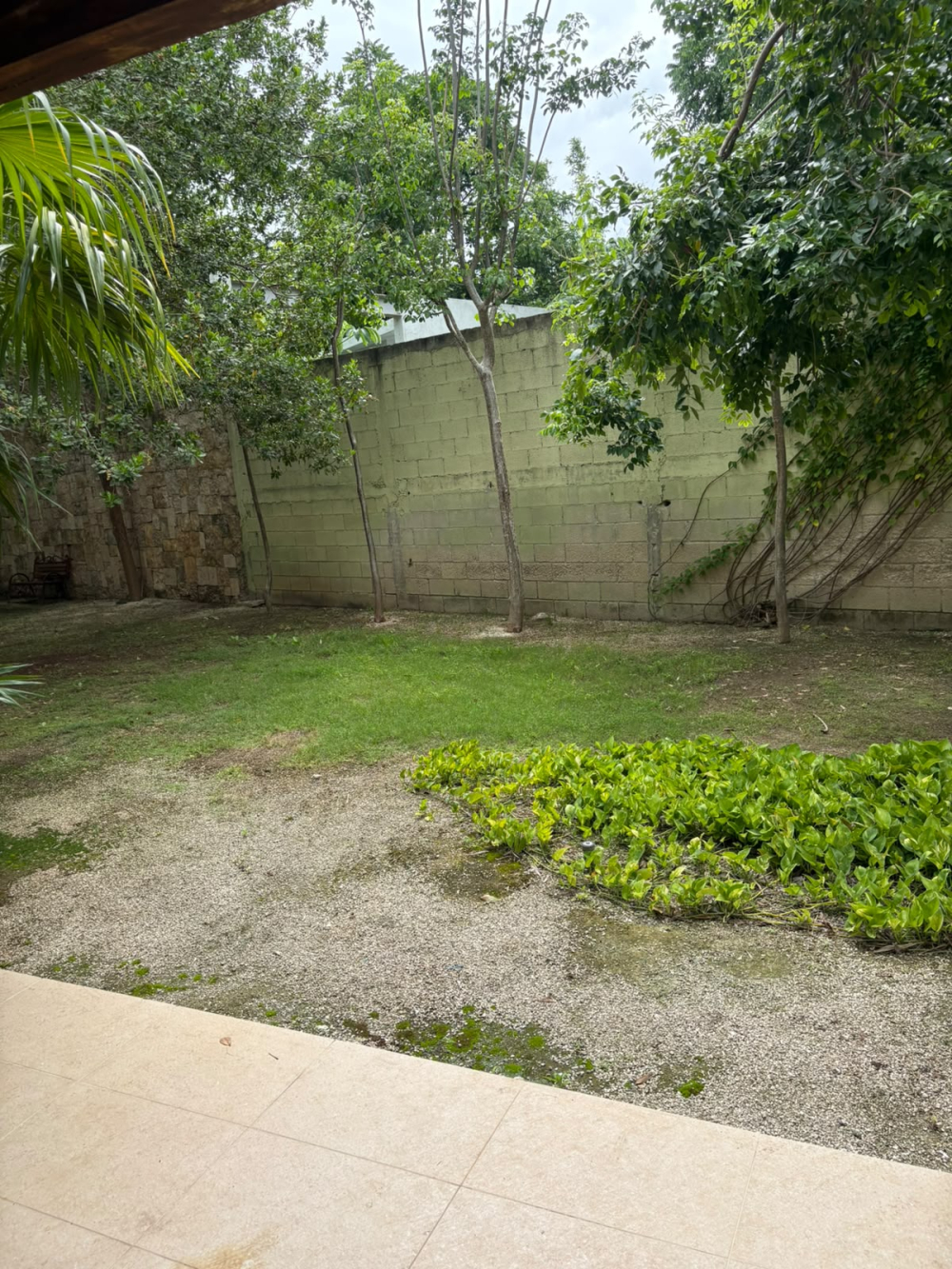 departamento en renta en chablekal