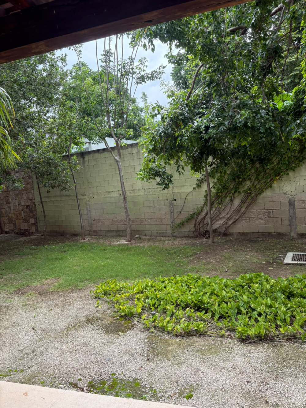 departamento en renta en chablekal