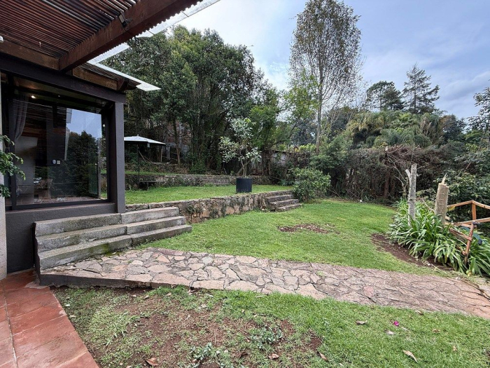 casa libélulas
