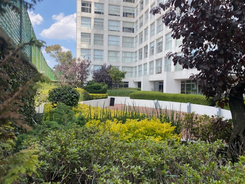 departamento en renta en cuajimalpa