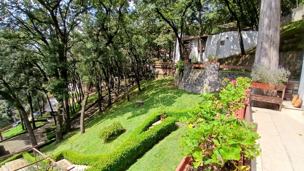 Homes For Sale On A Large Lot In Lomas De Tetelpan 