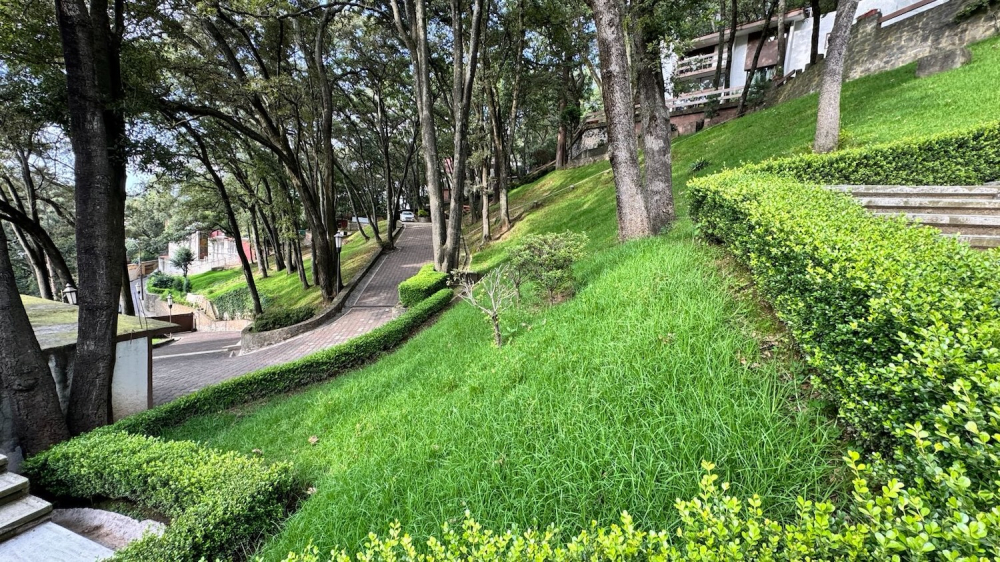 Homes For Sale On A Large Lot In Lomas De Tetelpan 