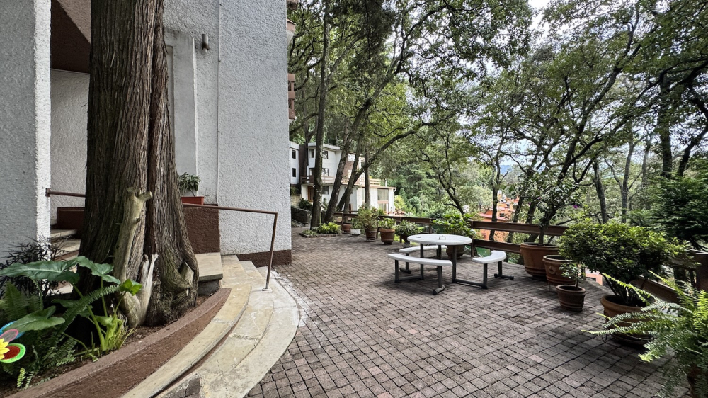 Homes For Sale On A Large Lot In Lomas De Tetelpan 