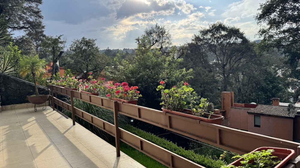 Homes For Sale On A Large Lot In Lomas De Tetelpan 