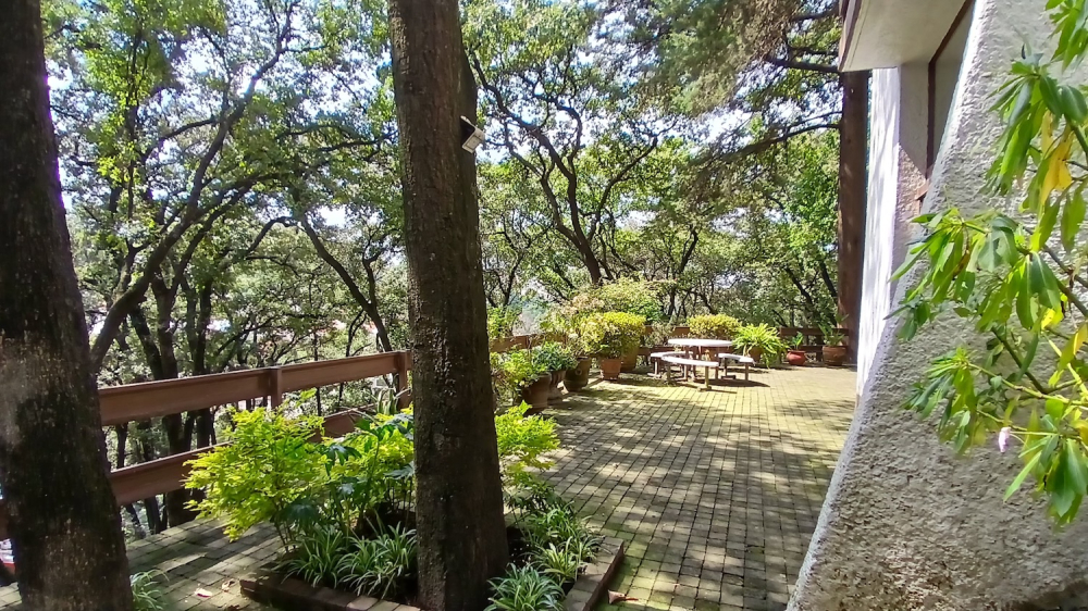 Homes For Sale On A Large Lot In Lomas De Tetelpan 