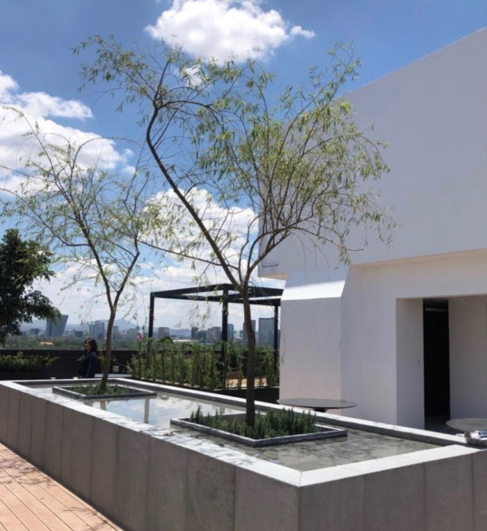 departamento en renta en en icon condesa