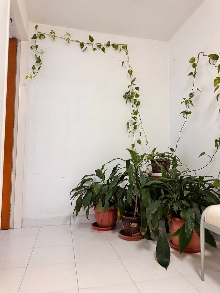 casa en renta en boulevares
