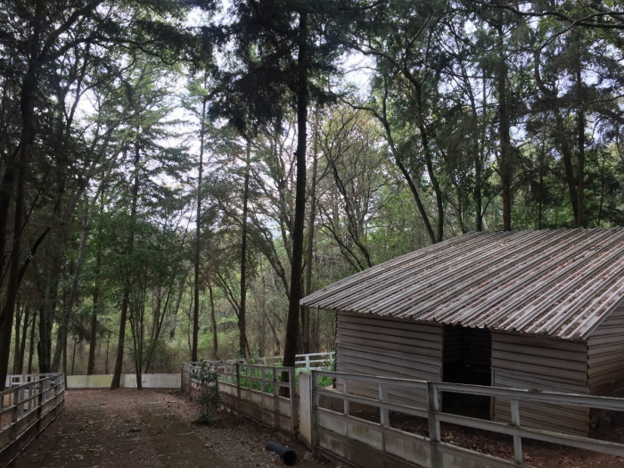 rancho en venta en villa del carbón ¡¡baja de precio!!