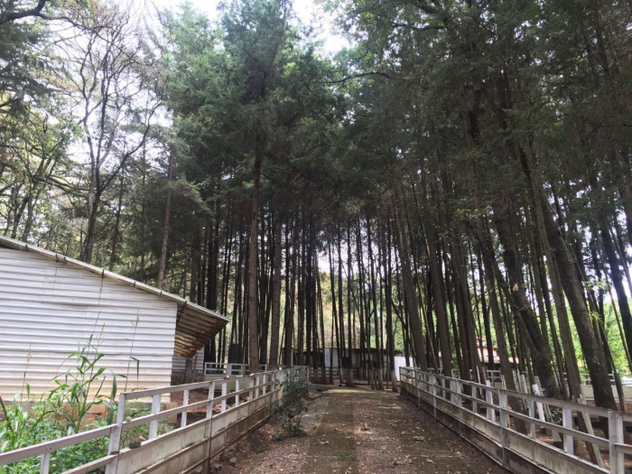 rancho en venta en villa del carbón ¡¡baja de precio!!