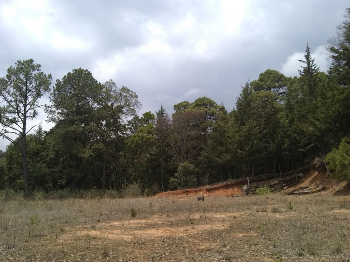 rancho en venta en villa del carbón ¡¡baja de precio!!