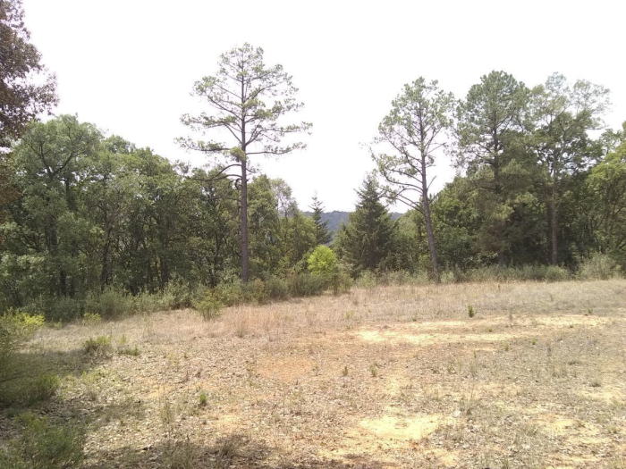 rancho en venta en villa del carbón ¡¡baja de precio!!