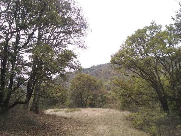rancho en venta en villa del carbón ¡¡baja de precio!!