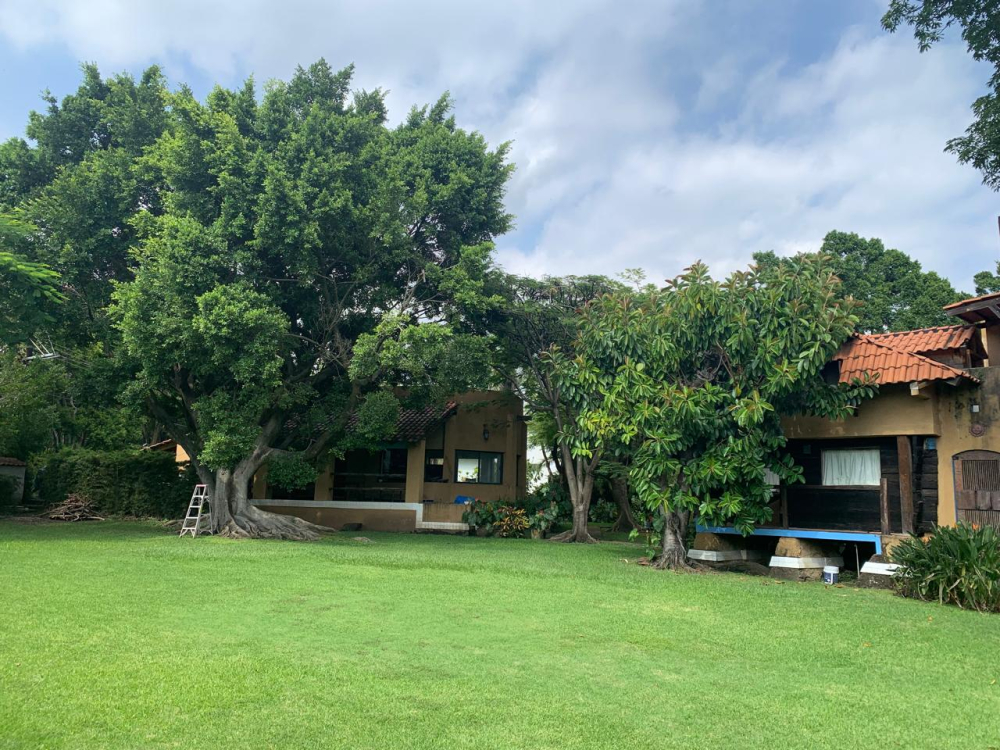 casa en venta en jiutepec 