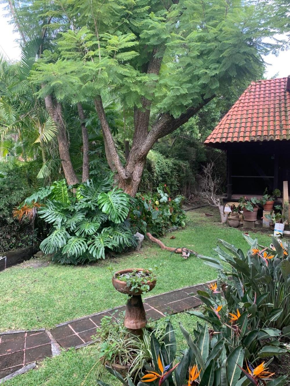 casa en venta en jiutepec 