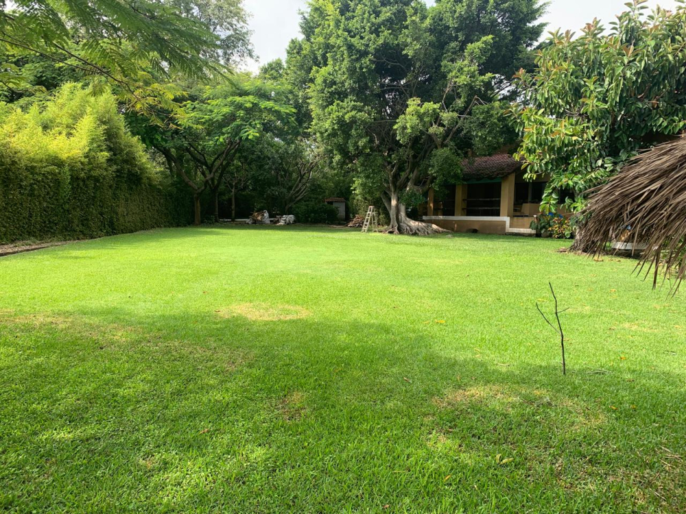 casa en venta en jiutepec 