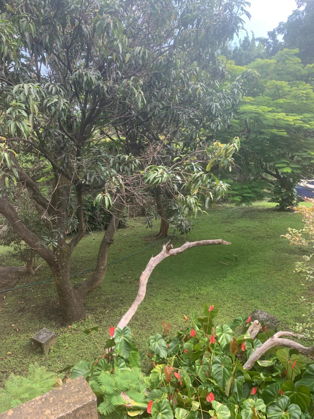 casa en venta en jiutepec 