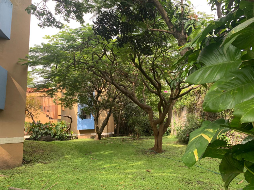 casa en venta en jiutepec 