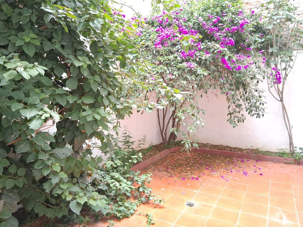 casa en renta en anzures