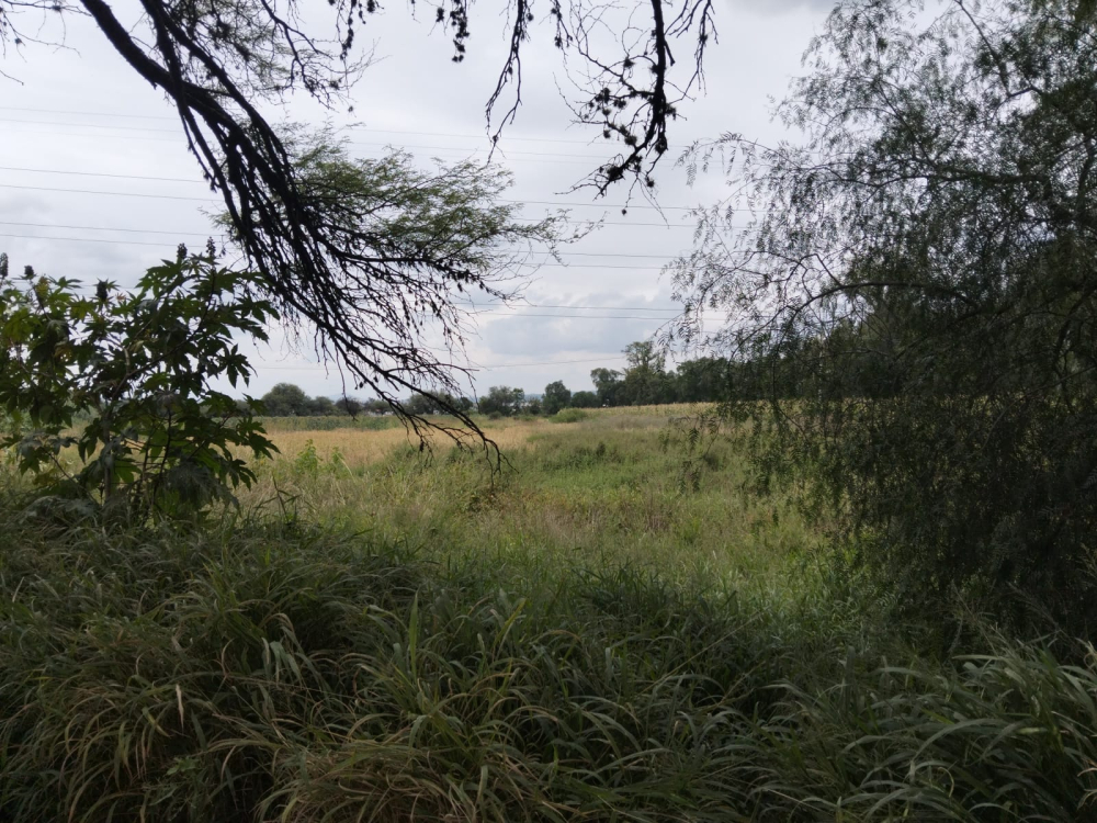 terreno en venta en san juan del rio qro