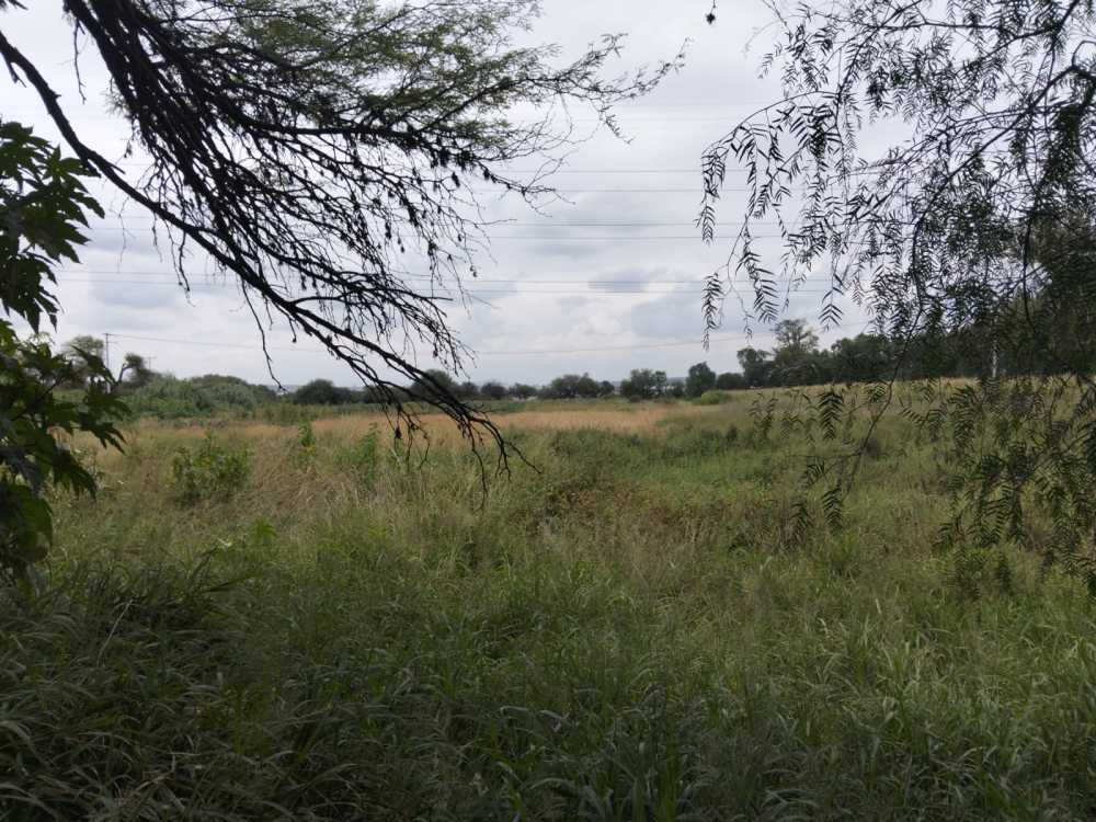 terreno en venta en san juan del rio qro