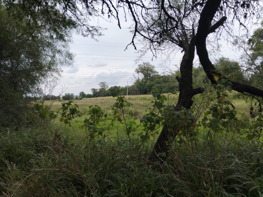 terreno en venta en san juan del rio qro