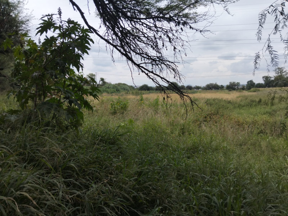 terreno en venta en san juan del rio qro