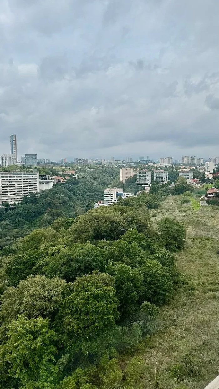 Venta Departamento En Frondoso 1