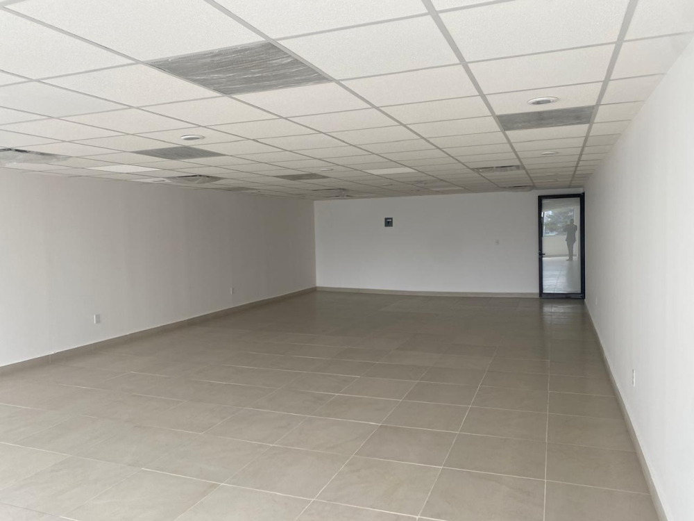 Oficina En Renta En Anzures De 89 M2
