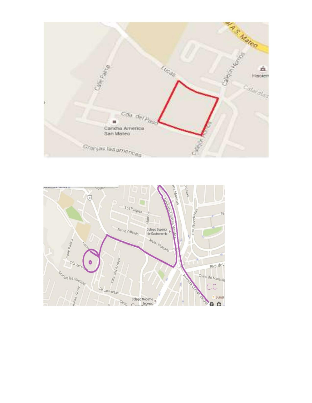 terreno en venta - para desarrollo - san mateo oxipaco - lomas verdes 