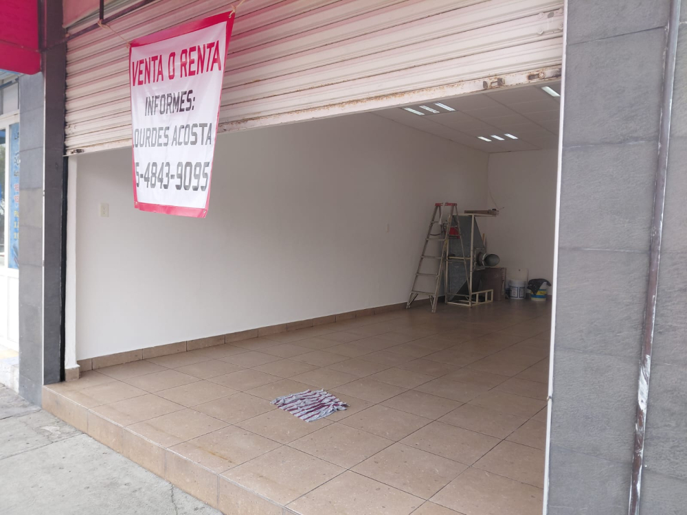 local comercial en venta o renta en ricardo flores magón