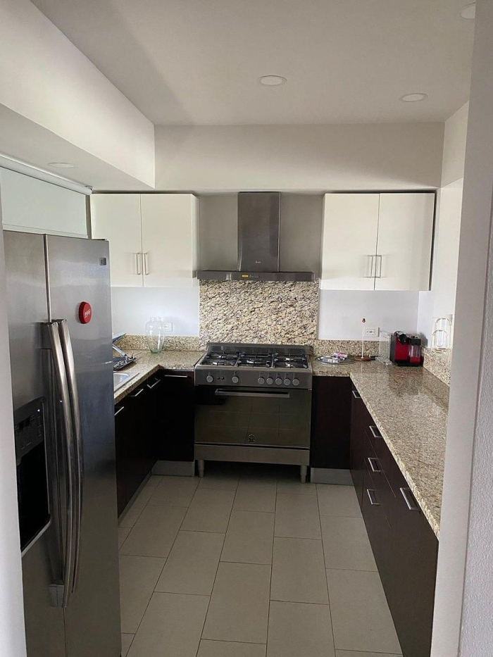 renta departamento en alisio ph