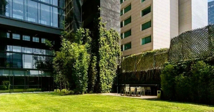 departamento en renta en juárez, magenta tower