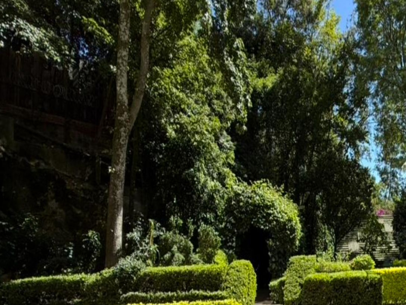 departamento en venta en lomas altas