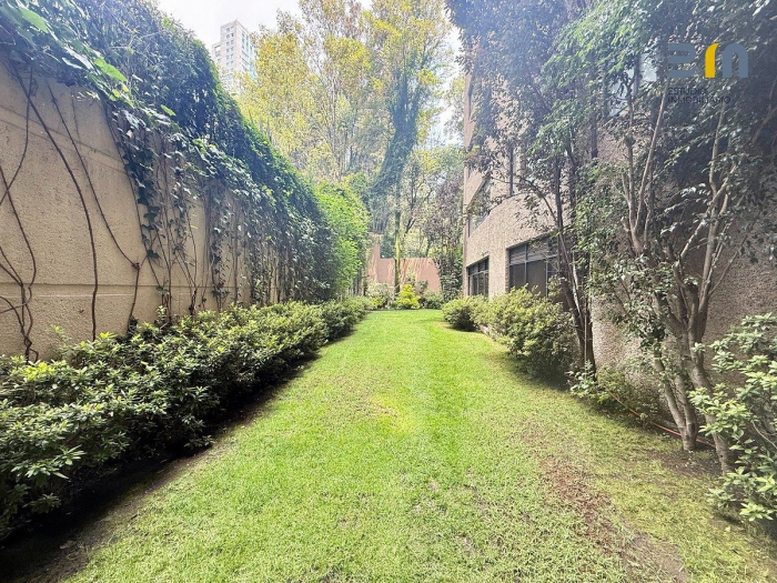 departamento en renta en bosques de las lomas