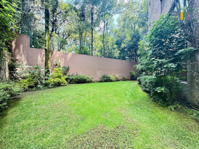 departamento en renta en bosques de las lomas