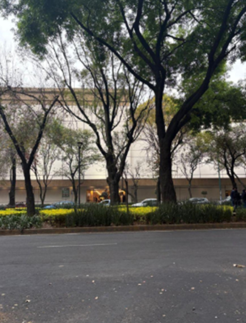 se rentan oficinas en roma norte cuauhtemoc cdmx