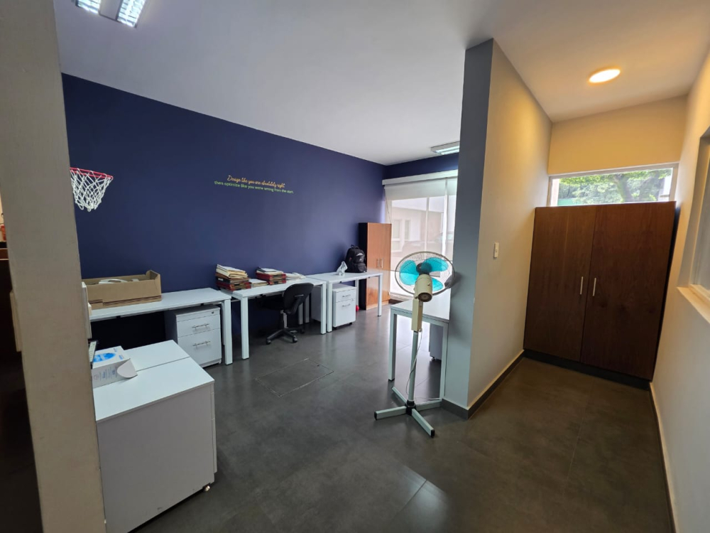 inmueble en venta o renta en polanco