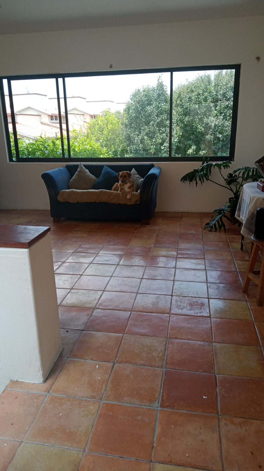 casa en venta en cuajimalpa
