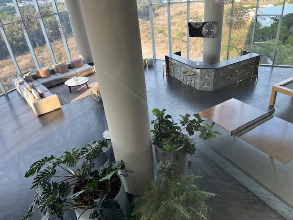 departamento en renta en colinas de san javier