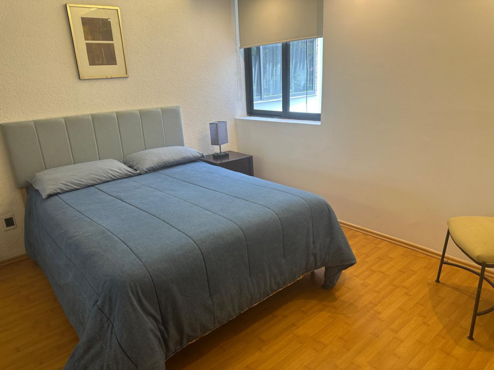 departamento amueblado en renta en schiller, polanco.