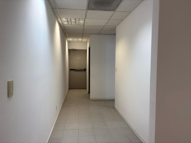 local comercial en renta en xoco