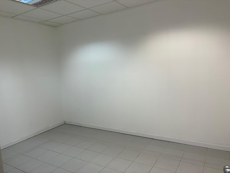 local comercial en renta en xoco