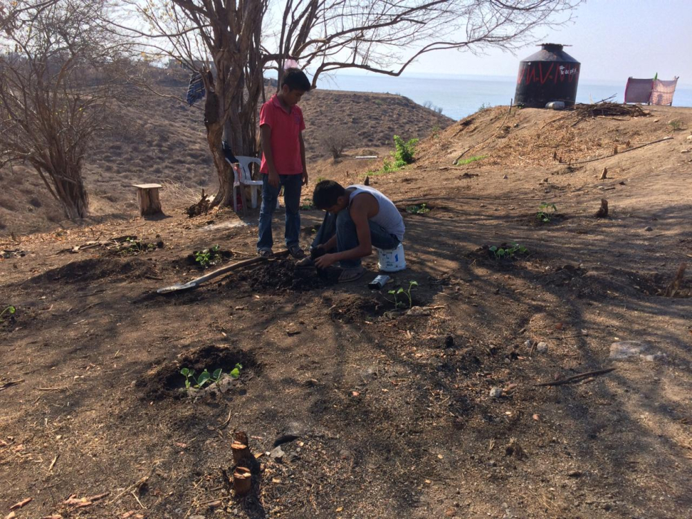 Terreno En Venta En Puerto Ángel 