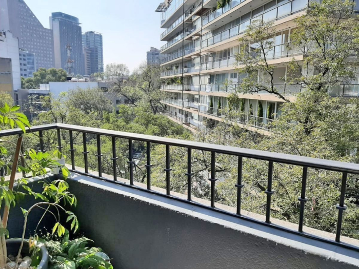 Departamento Amueblado En Renta Polanco, Galileo