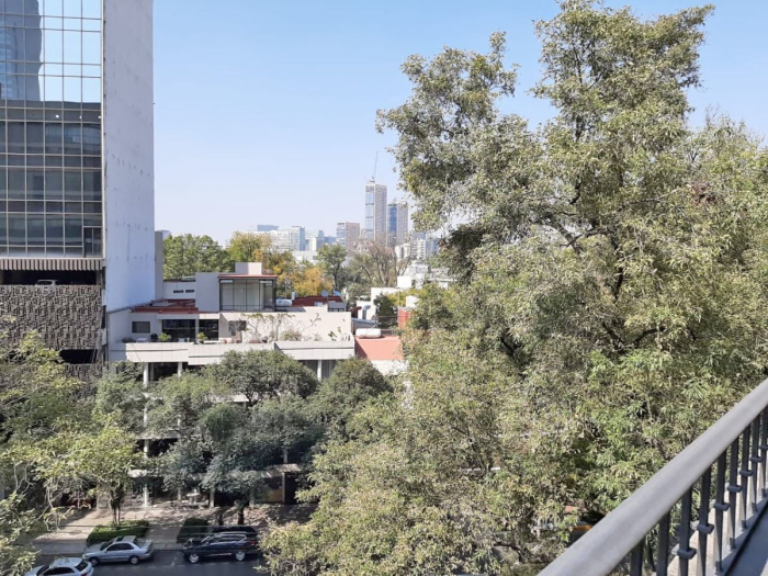 Departamento Amueblado En Renta Polanco, Galileo